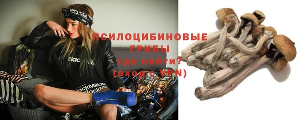 шишки Инсар