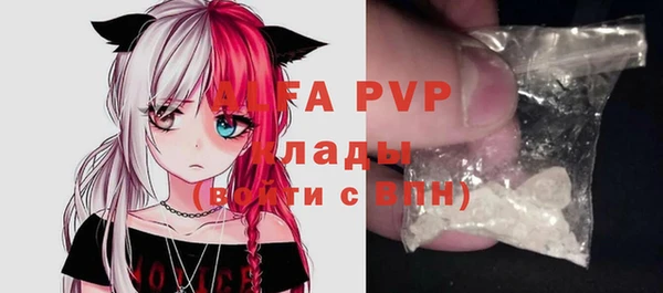 шишки Инсар