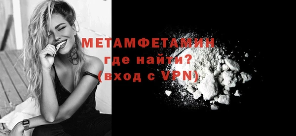 шишки Инсар