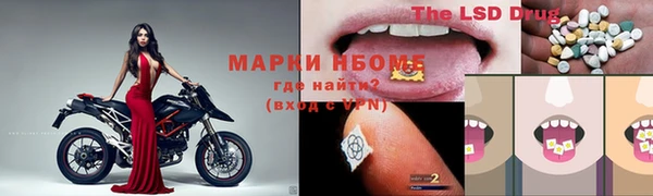 шишки Инсар