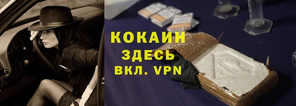 шишки Инсар