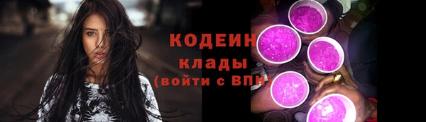 шишки Инсар