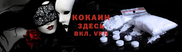 шишки Инсар