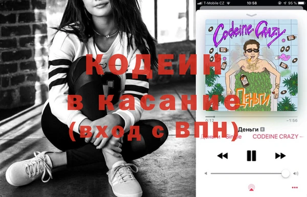 шишки Инсар