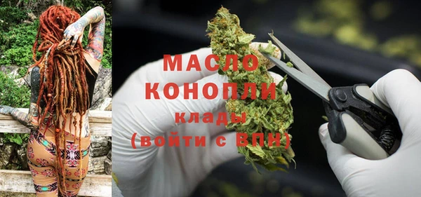 шишки Инсар