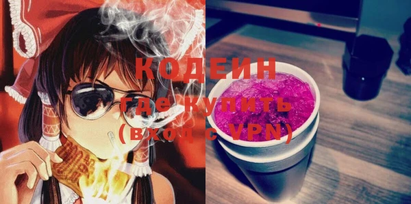шишки Инсар