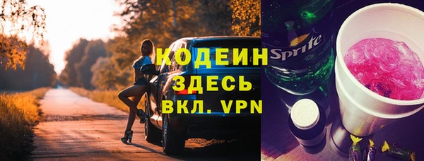 шишки Инсар
