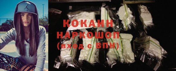 шишки Инсар