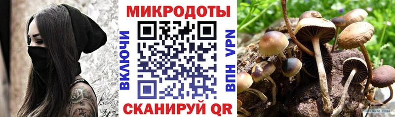 Псилоцибиновые грибы Cubensis  Купить закладки  Дмитровск 